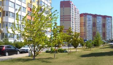 Slide 153
