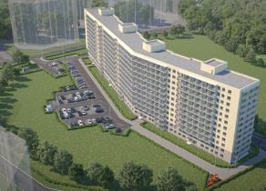 Slide 7