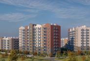Slide 1