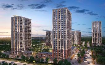 Slide 8