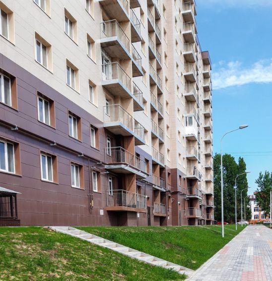 Роза Ветров