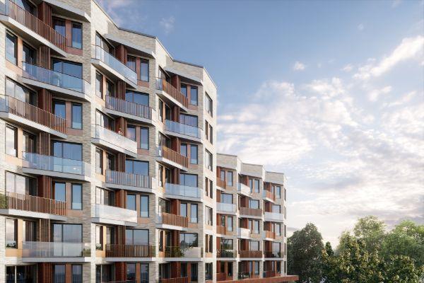 Champine (Шампайн)