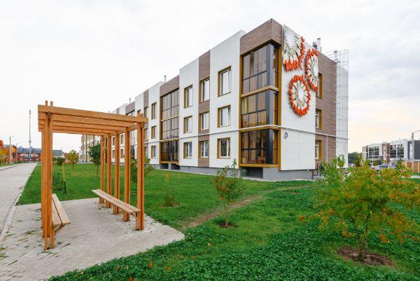 Васильки