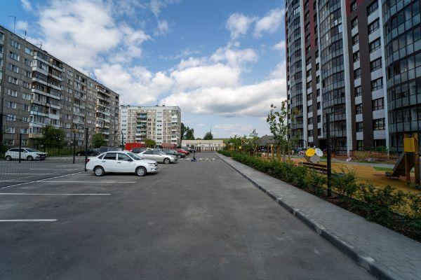 Виноград