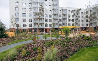 Slide 5