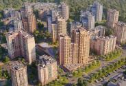 Slide 5