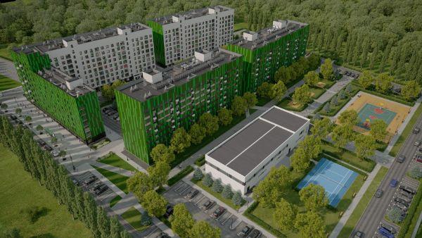 Клевер