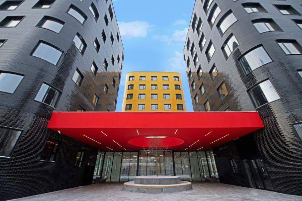 Композиция №24