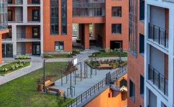 Slide 8