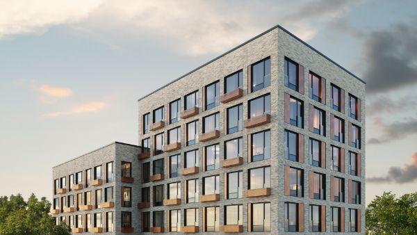 Champine (Шампайн)