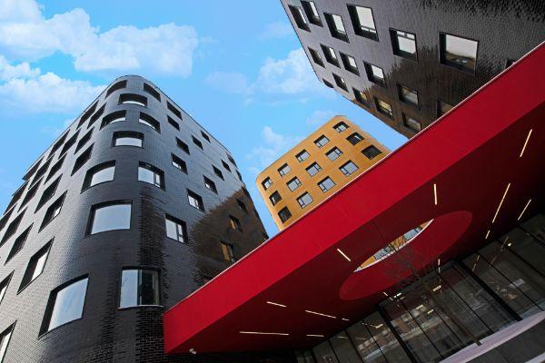 Композиция №24