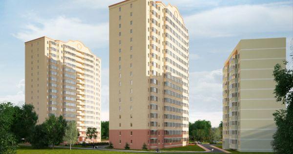 Новая жизнь