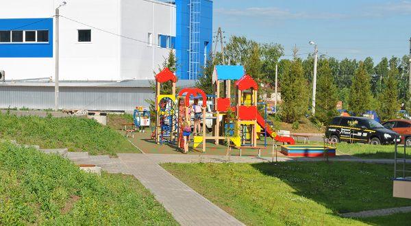 Васильки