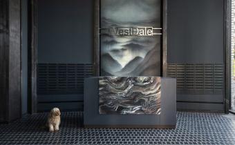 Slide 31