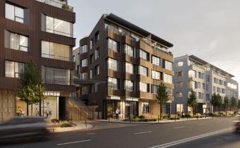 Slide 8