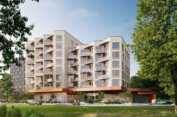 Champine (Шампайн)