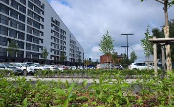 Slide 5