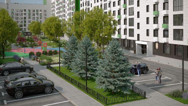 Клевер