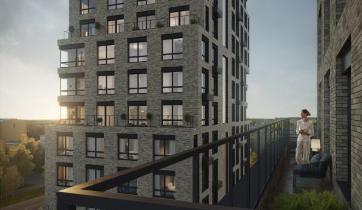Slide 3