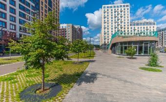 Slide 8