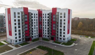 Slide 8