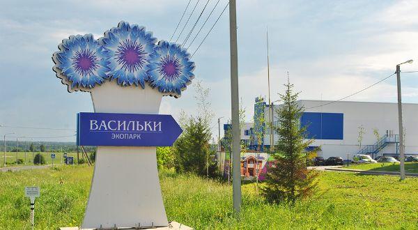 Васильки