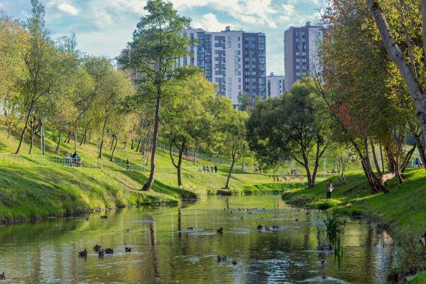Новые Ватутинки. Микрорайон Центральный
