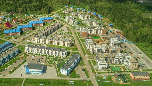 Васильки
