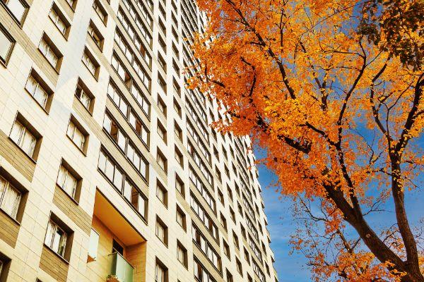 Настроение