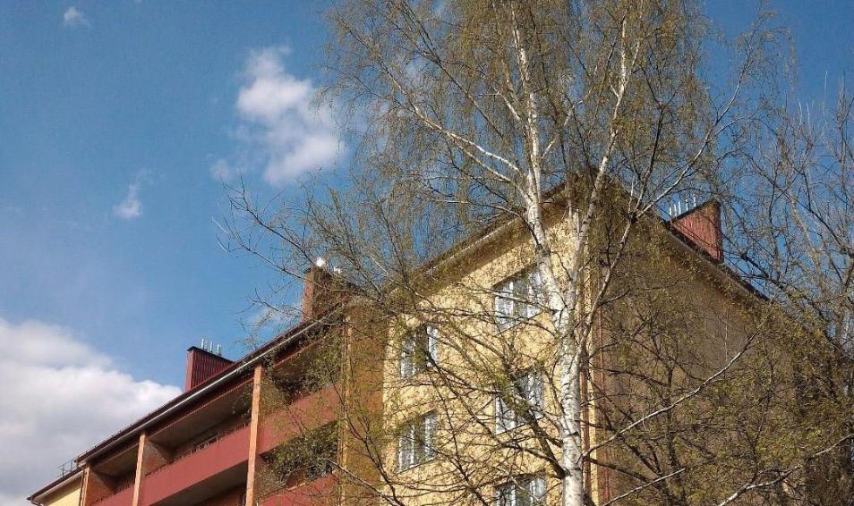 Центральная 60