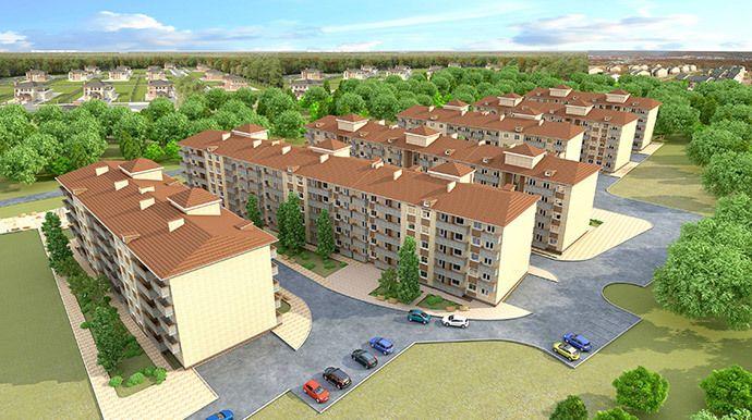 Подсолнухи