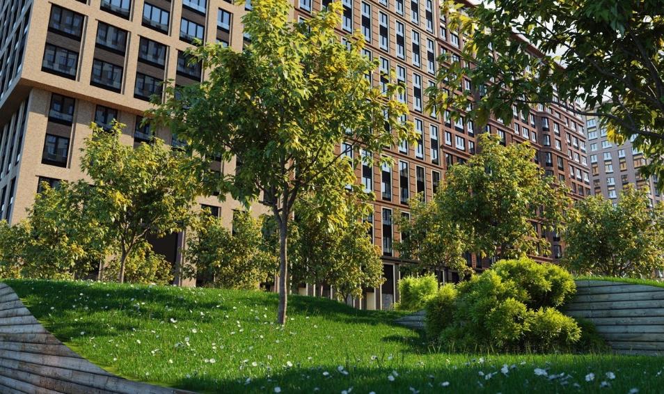 Царская площадь