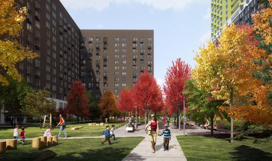 Мещерский лес