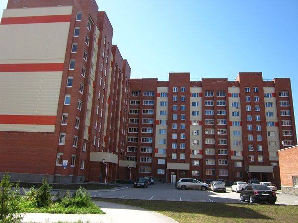 Slide 8