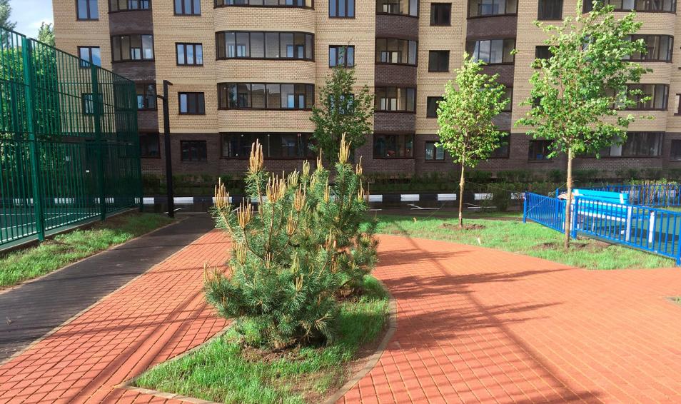 Центральный