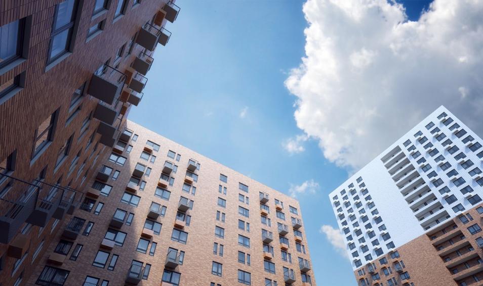 Мещерский лес