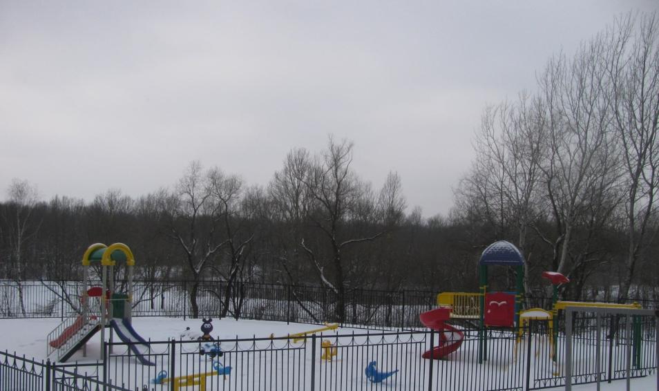 Петровский