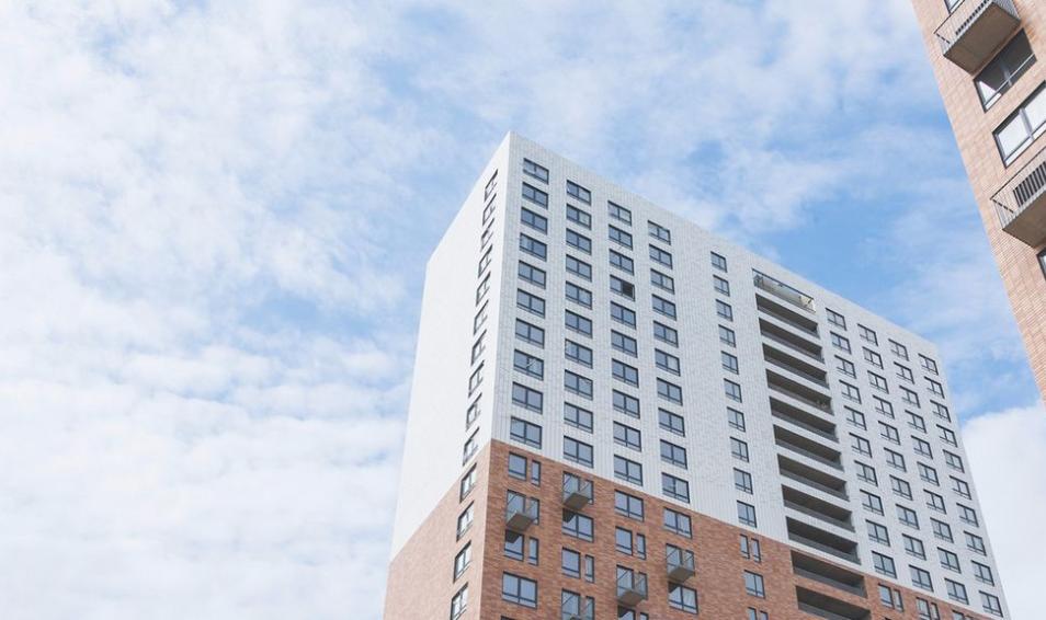 Мещерский лес