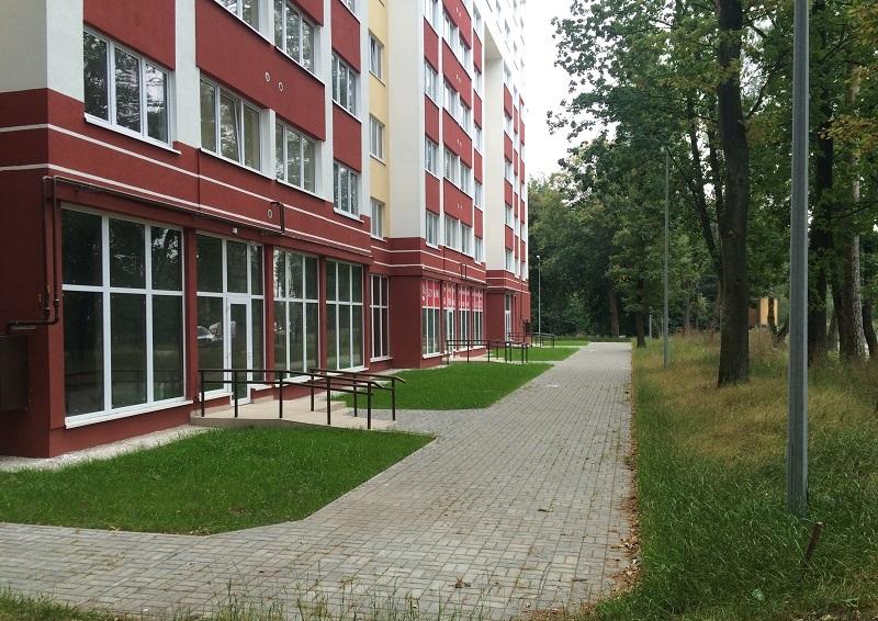Смольный парк