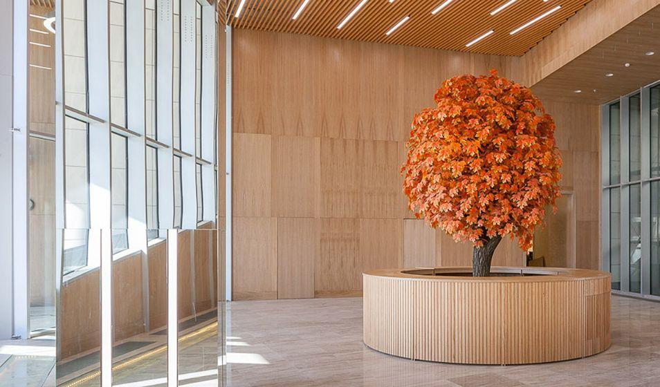 Кленовый DOM (Кленовый Дом)