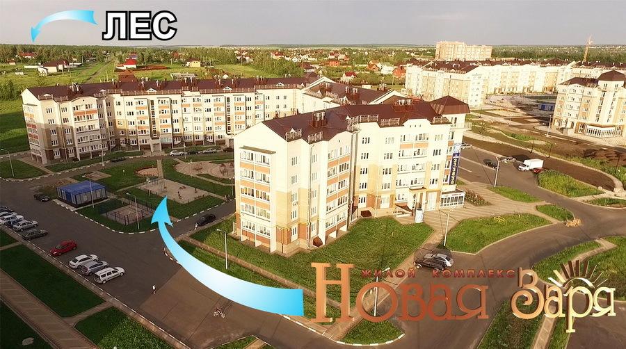 Новая Заря