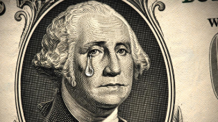 Падение ястреба: покупки россиян на Ozon и Wildberries станут дороже из-за обвала доллара в 2026 году