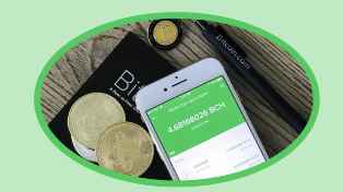 Реальные криптаны, пацаны: россиянам разрешат инвестиции в криптовалюту