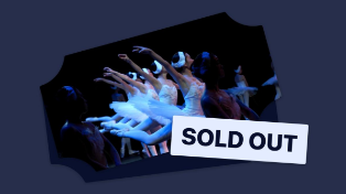 Дорогая сказка: почему все недовольны ценами на «Щелкунчика» в Большом театре