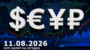 Евро выше 95 рублей: курс валют на 11 августа 2026 — доллар, евро, юань ЦБ РФ