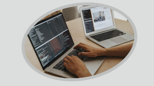 В России отменяют анонимные домены: регистрация через Госуслуги станет обязательной