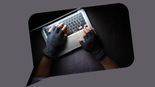 Госдума вводит проверку НКО через Госуслуги: фейковые сборы денег перекроют