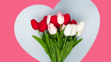 Любовь за деньги не вянет: какие цветы на 14 февраля и 8 марта сейчас в моде