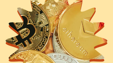 Верни биткойн: криптовалюта станет общим имуществом супругов