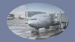 Приложение S7 снова появилось в App Store: что нужно знать пассажирам